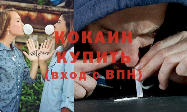 прущие грибы Верея