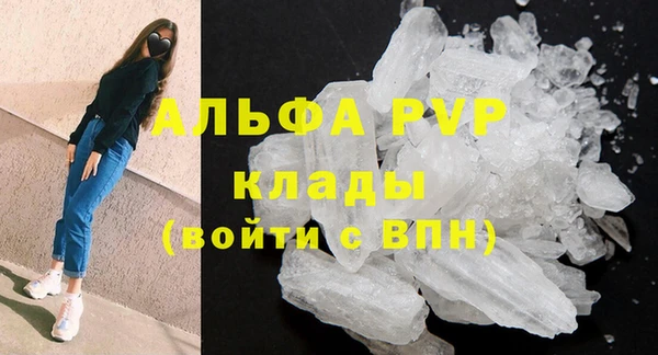 PSILOCYBIN Тында