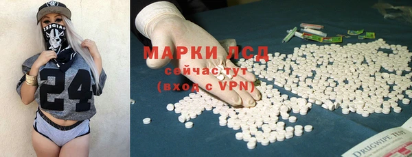 стаф Туринск