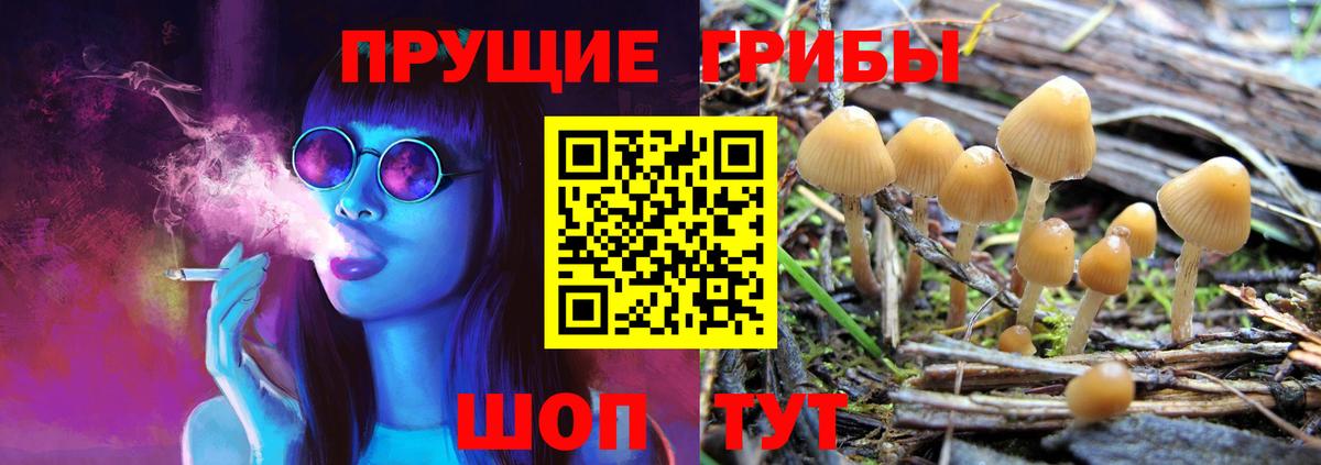 Псилоцибиновые грибы прущие грибы  Псилоцибиновые грибы Magic Shrooms  Вход с VPN  Нефтекамск 
